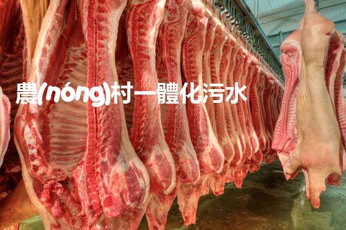 農(nóng)村一體化污水處理：改變鄉(xiāng)村，凈化未來！